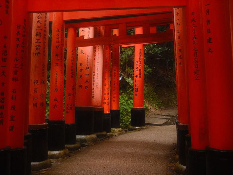 Puertas torii rojas del santuario Fushimi Inari en Kioto